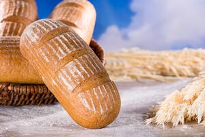 Produktabbildung DLS - Bio GrauBrot
