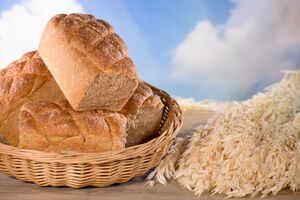 Produktabbildung DLS - Bio BergSteigerBrot